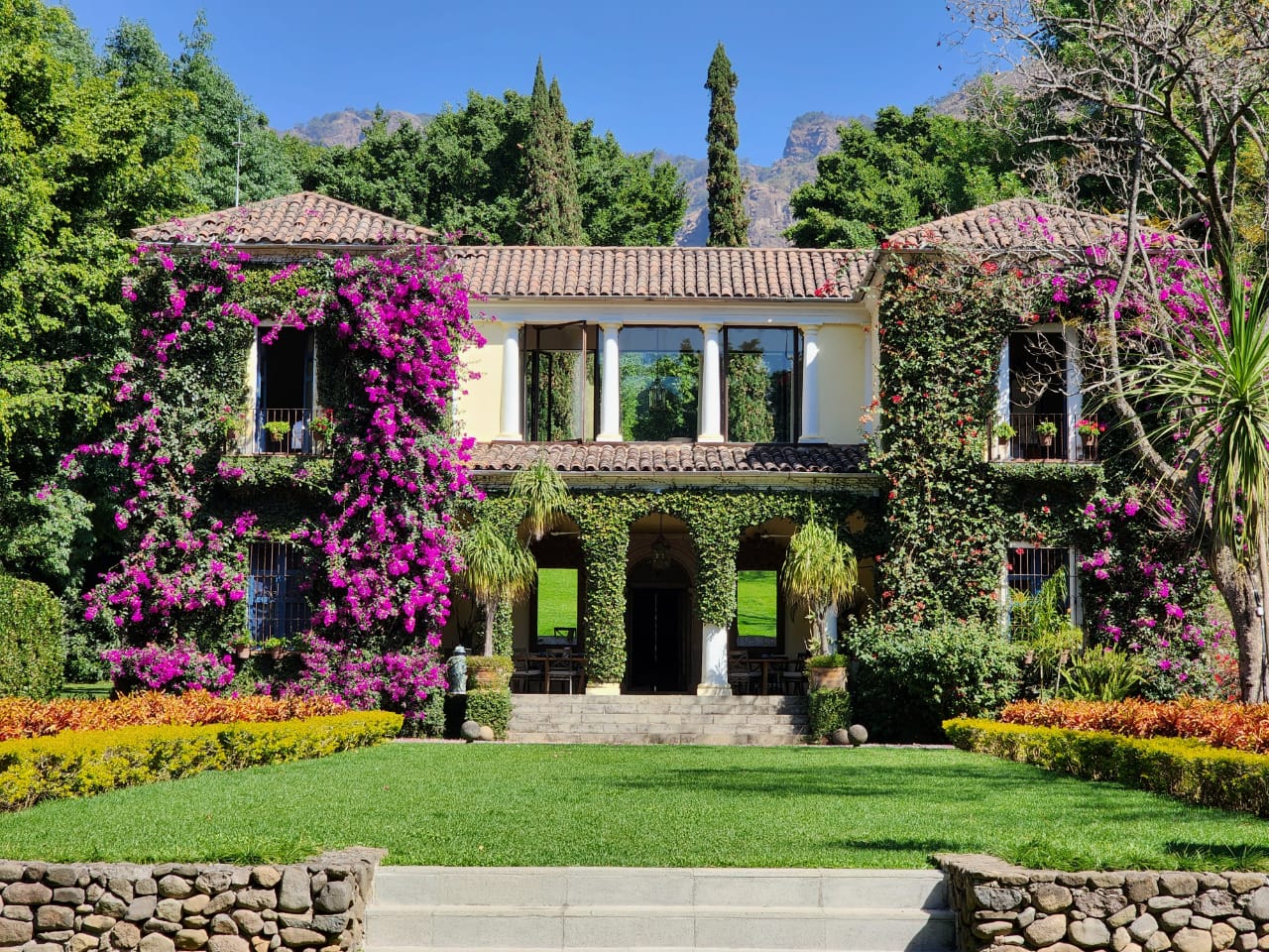 The Estate